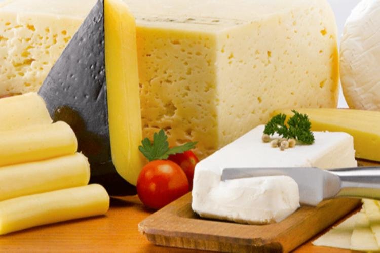 Tipos de quesos juntos 